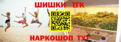 мет Кингисепп