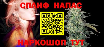 мет Кингисепп