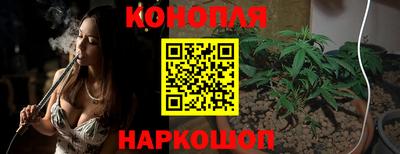 сатива Кинель