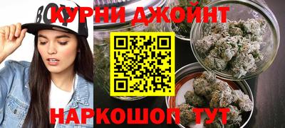 сатива Кинель