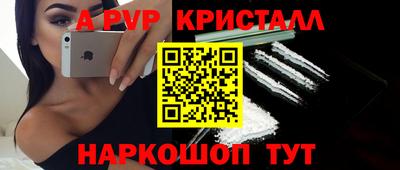 мет Кингисепп