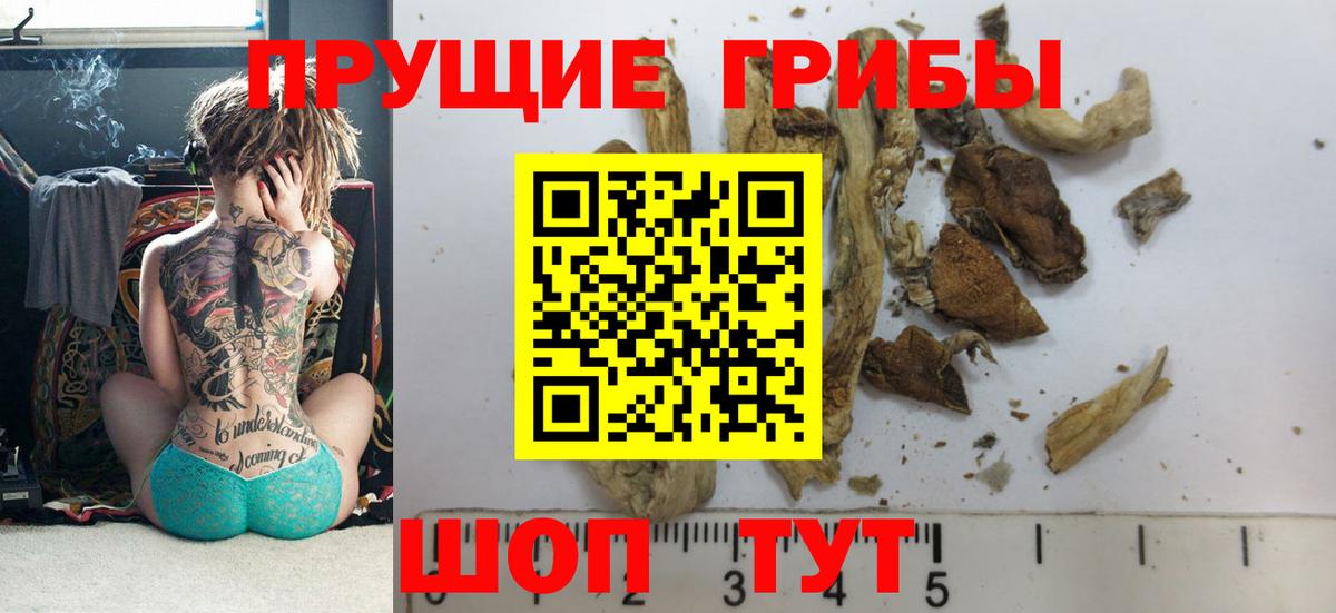 Псилоцибиновые грибы мицелий Киреевск